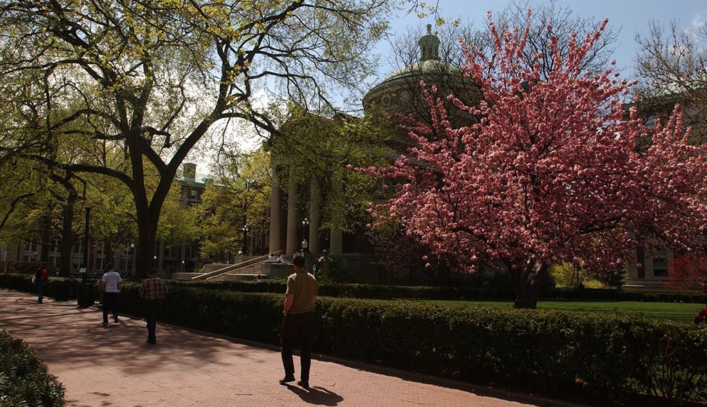 Individuals stroll along the walkway on the campus grounds of Columbia University.
