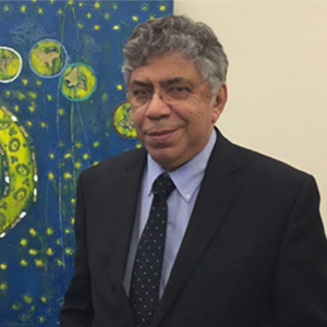 A man, Otaviano Canuto dos Santos Filho, with salt-and-pepper hair, wearing a dark suit and tie, stands in front of a colorful painting.