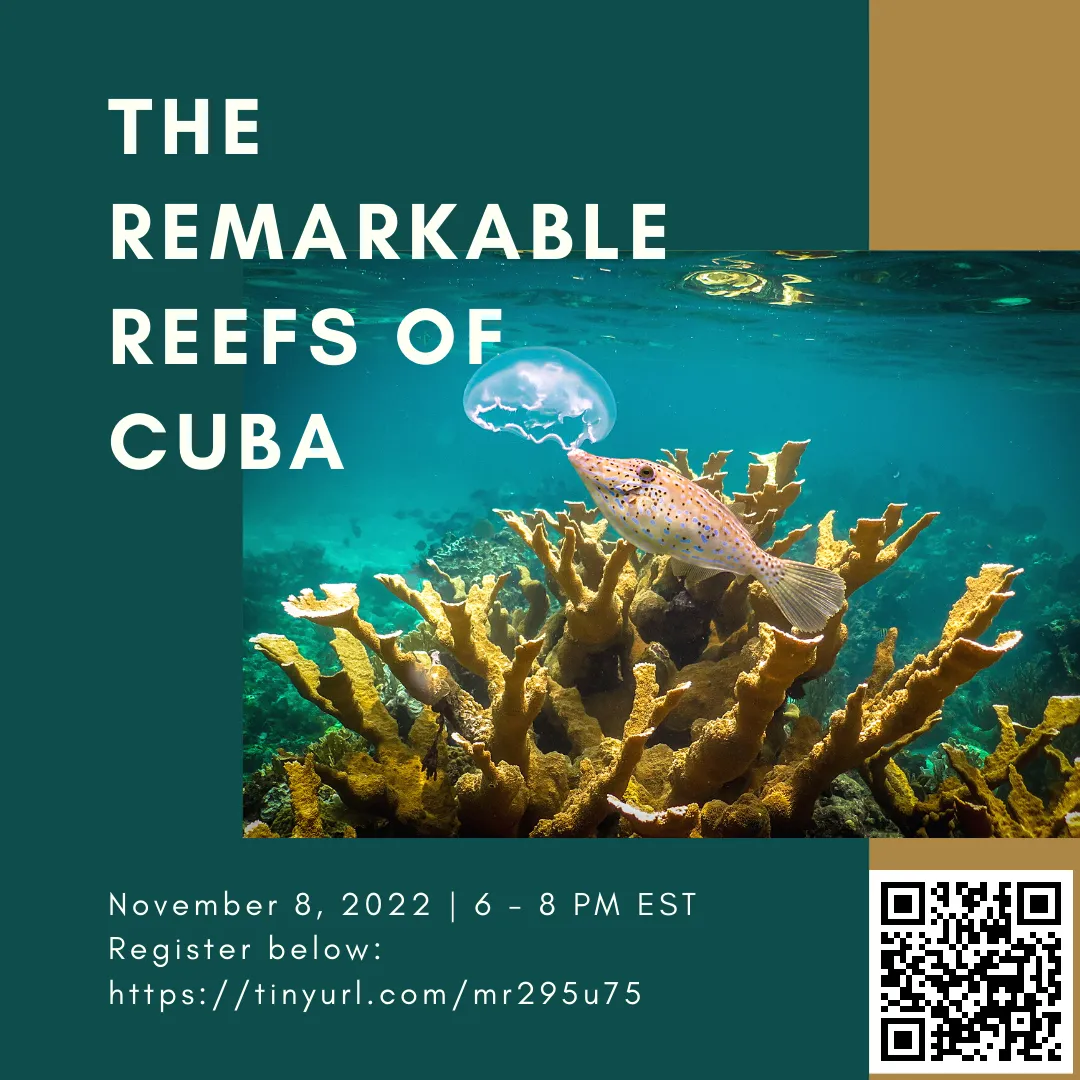 Flyer for the event