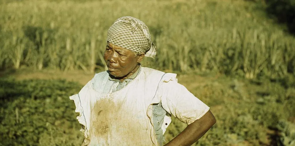woman stands in front of green fields wearing a headscarf and field clothing