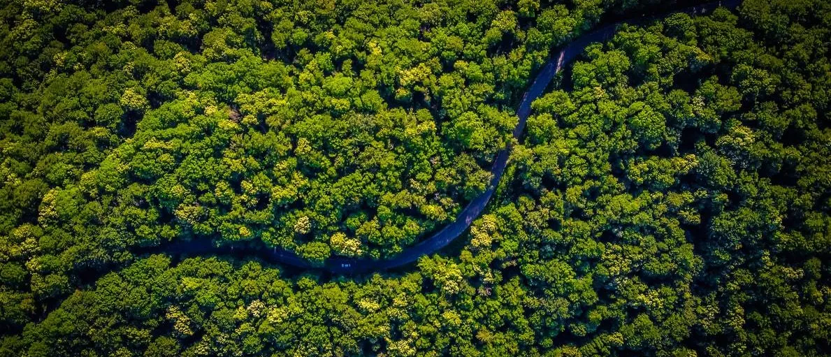 Aerial view of the Amazon River and rainforest.